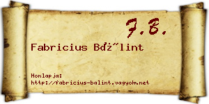 Fabricius Bálint névjegykártya